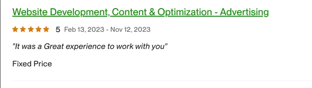 Five-star client review on our Upwork profile.