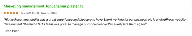 Five-star client review on our Upwork profile.