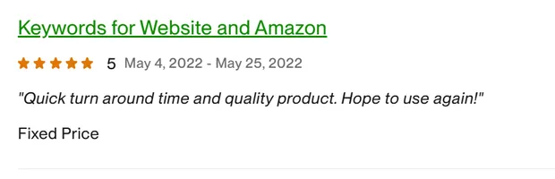 Five-star client review on our Upwork profile.